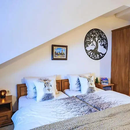 アパート Peak 508 *