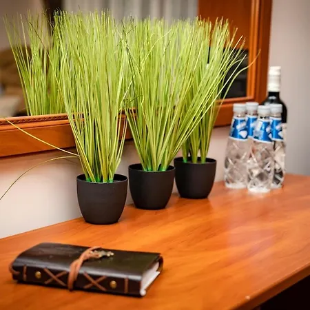 アパート Peak 508 *