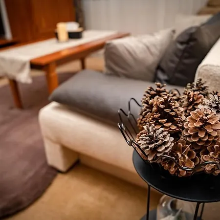 Peak 508 アパート *