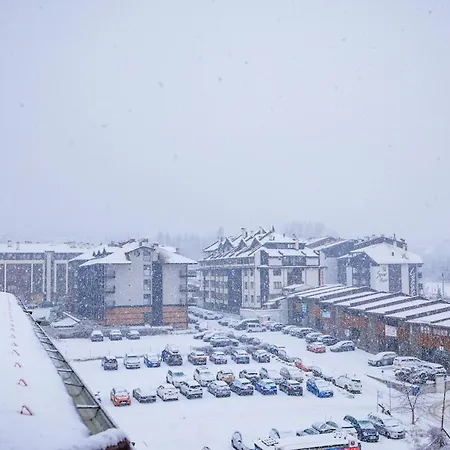 Peak 508 アパート *