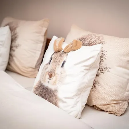 アパート Peak 508 *