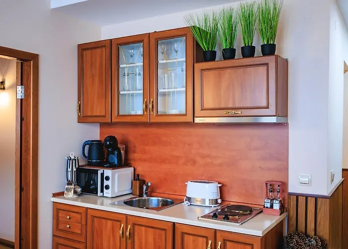 Apartman Peak 508 Banszko